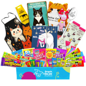 Christmas Cat Lovers Vegan Lolly Gift