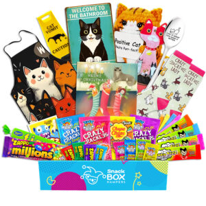 Christmas Cat Lovers Vegan Lolly Gift