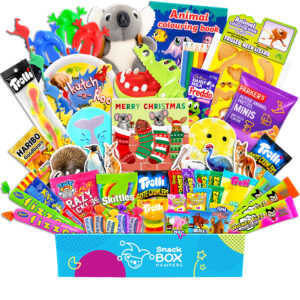 Christmas Kids Animal Activity Gift Hamper – Gluten Free Lolly