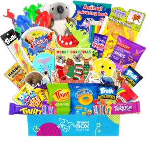 Christmas Kids Animal Activity Gift Hamper – Gluten Free Snack