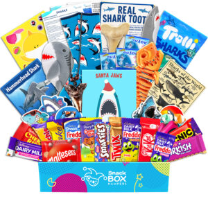 Christmas Kids Shark Gift Box Hamper - Chocolate