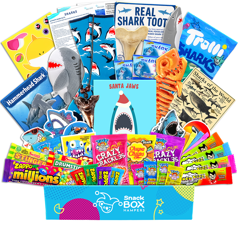 Christmas Kids Shark Gift Hamper – Vegan Lolly