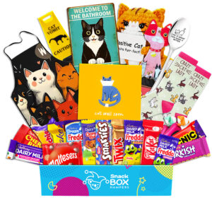 Get Well Cat Lovers Chocolate Box Gift Basket