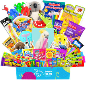 Kids Animal Activity Box Gift Hamper - Vegan Lolly