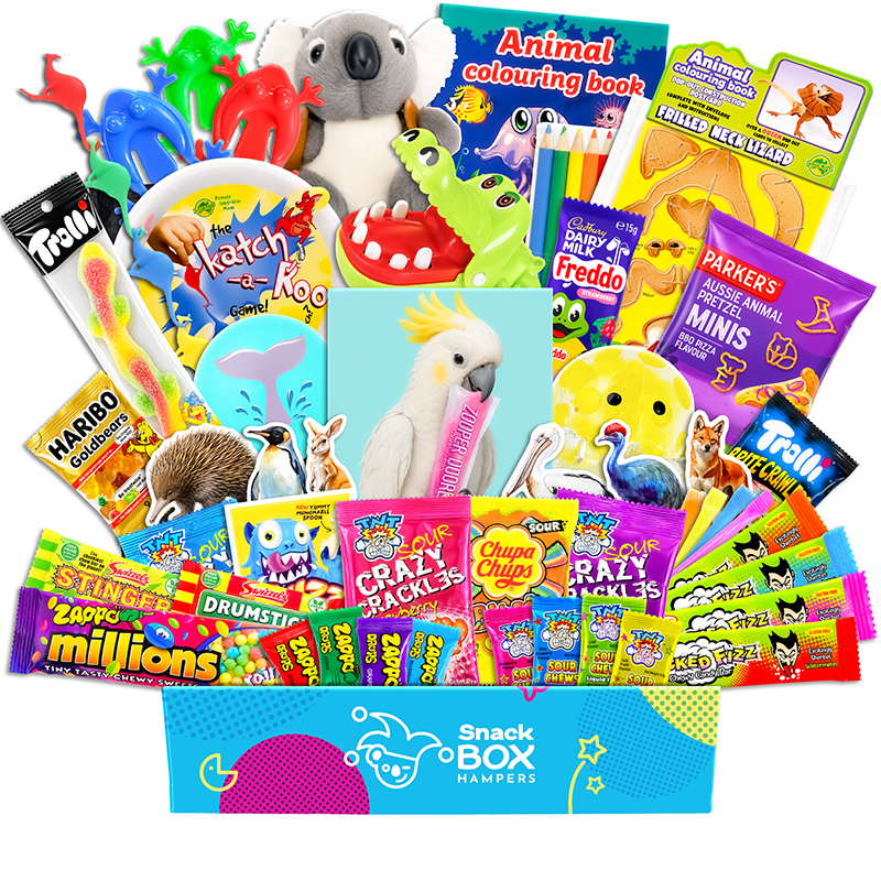Kids Animal Activity Gift Box Hamper – Vegan Lolly