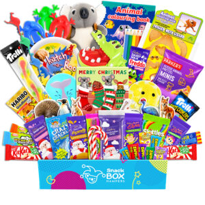 Christmas Kids Animal Activity Box Gift Hamper